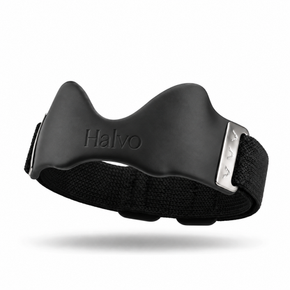 Sangle rotulienne - Halvo